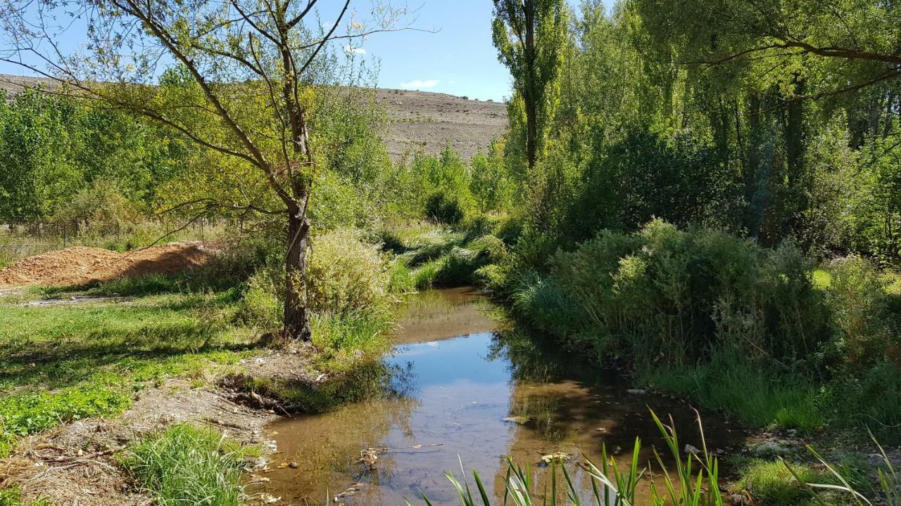 Casa Rural Los Yeros Aldeasona - Segovia 외부 사진